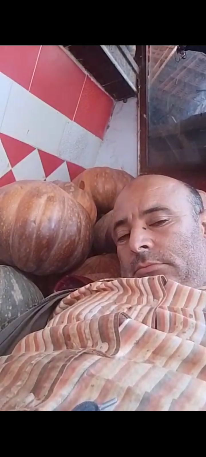 motia zahidi_ztcbG