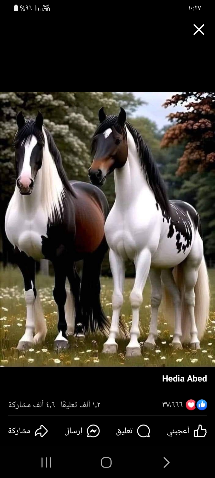����_SsQUa