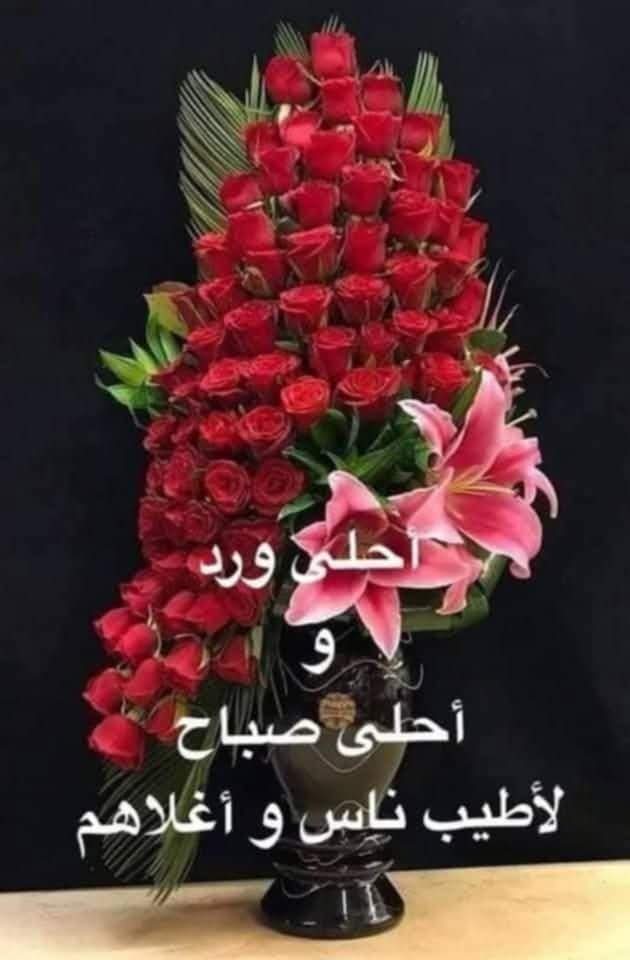 Wafaa Taydi_bKkQE