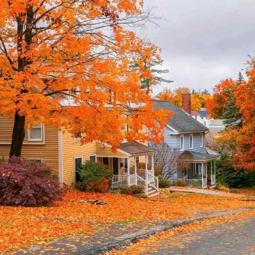 Latifalhadi 06latife_yP903